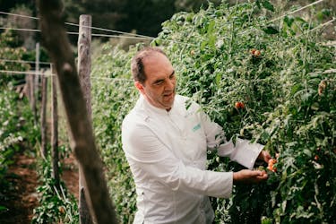 Farm to Fork Gastonomic Experience with Chef Mimmo